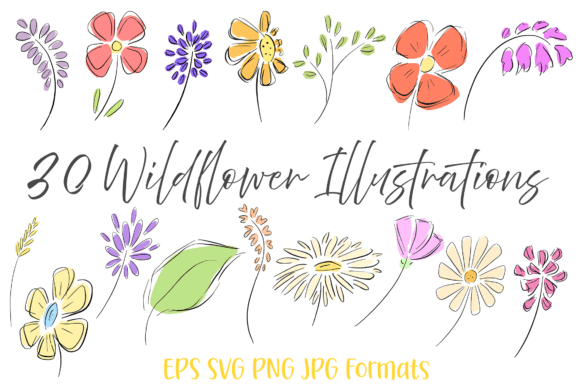 30 Wildflowers Flower Hand Drawn Clipart for Creative Projects