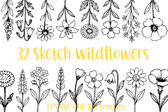 32 Wildflower Floral Sketch Illustration: A Versatile Resource for Creative Workflows