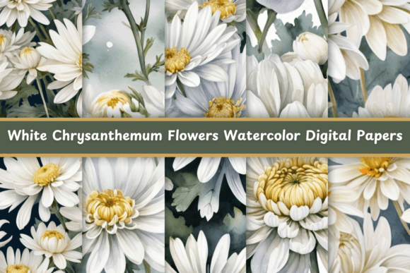 Exploring the Beauty and Versatility of White Chrysanthemum Watercolor Digital Papers