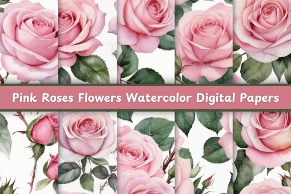 Pink Roses Flowers Watercolor Patterns
