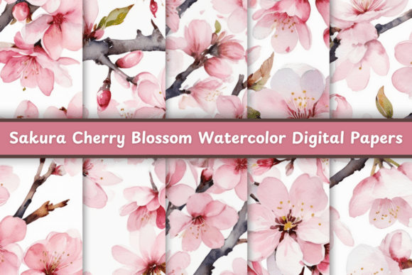 Sakura Cherry Blossom Watercolor