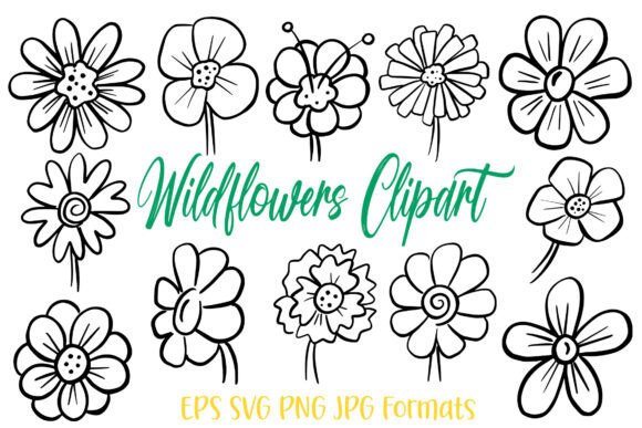 Spring Flower Illustration Wildflowers